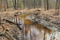 Undeveloped Land in Clark County, Wisconsin
