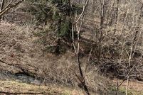 Undeveloped Land in Washington County, Virginia