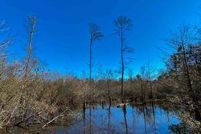 Undeveloped Land in Jones County, Mississippi