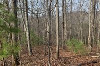 Undeveloped Land in Towns County, Georgia