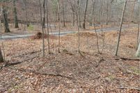 Undeveloped Land in Morgan County, West Virginia