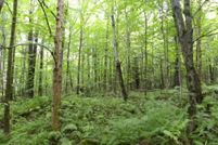 Recreational Property in Orleans County, Vermont