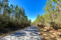 Undeveloped Land in Greene County, Mississippi