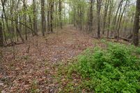 Timberland Property in Roane County, West Virginia