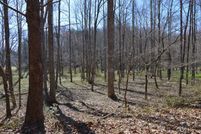 Undeveloped Land in Towns County, Georgia
