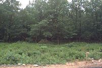 Undeveloped Land in Schuylkill County, Pennsylvania