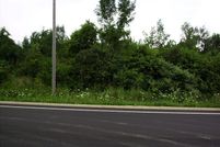 Undeveloped Land in Allegan County, Michigan