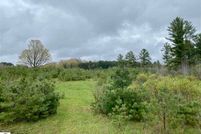 Undeveloped Land in Osceola County, Michigan
