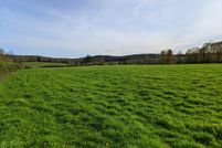 Undeveloped Land in Chenango County, New York