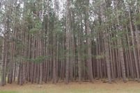 Undeveloped Land in Adams County, Wisconsin