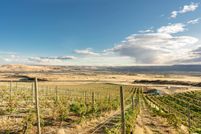 Undeveloped Land in Klickitat County, Washington