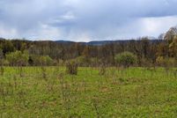 Hunting Property in Otsego County, New York