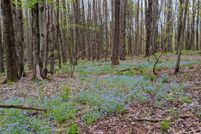 Undeveloped Land in Otsego County, New York