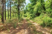 Undeveloped Land in Madison County, Florida