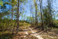 Undeveloped Land in Pearl River County, Mississippi