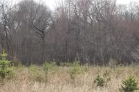 Undeveloped Land in Dunn County, Wisconsin