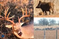 Hunting Property in Cottle County, Texas