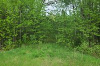 Undeveloped Land in Beltrami County, Minnesota