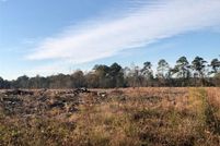 Undeveloped Land in Beauregard Parish, Louisiana
