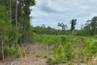 Land in Marion County, South Carolina