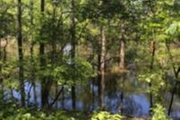 Undeveloped Land in Union Parish, Louisiana