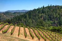 Land in Napa County, California