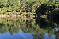 Undeveloped Land in Levy County, Florida