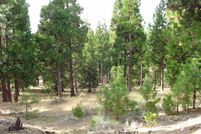 Undeveloped Land in Plumas County, California