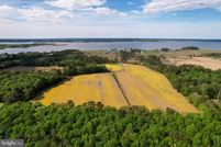 Undeveloped Land in Sussex County, Delaware