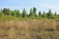 Land in Worth County, Georgia