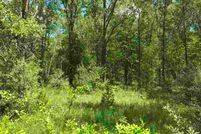 Undeveloped Land in Oconto County, Wisconsin