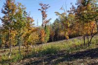 Land in Caledonia County, Vermont