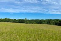Undeveloped Land in Vernon County, Wisconsin