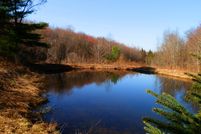 Hunting Property in Oneida County, New York