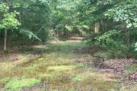 Undeveloped Land in Camp County, Texas