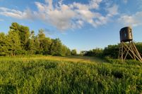 Undeveloped Land in Otter Tail County, Minnesota