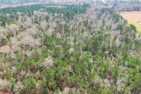 Undeveloped Land in Saint Tammany Parish, Louisiana