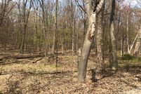 Undeveloped Land in Berrien County, Michigan