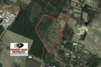 Timberland Property in Pitt County, North Carolina