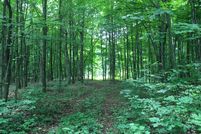 Recreational Property in Saint Lawrence County, New York