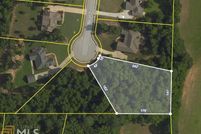 Undeveloped Land in Henry County, Georgia