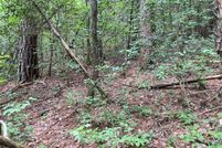 Undeveloped Land in Gilmer County, Georgia