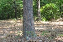 Land in Baxter County, Arkansas