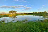 Undeveloped Land in Limestone County, Texas