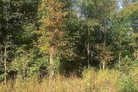 Undeveloped Land in Craighead County, Arkansas