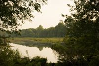 Undeveloped Land in Aiken County, South Carolina