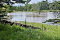 Undeveloped Land in Hancock County, Maine