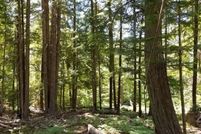 Homesite in Shoshone County, Idaho
