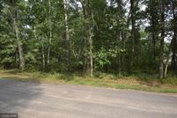 Undeveloped Land in Crow Wing County, Minnesota