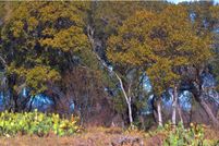 Hunting Property in Edwards County, Texas